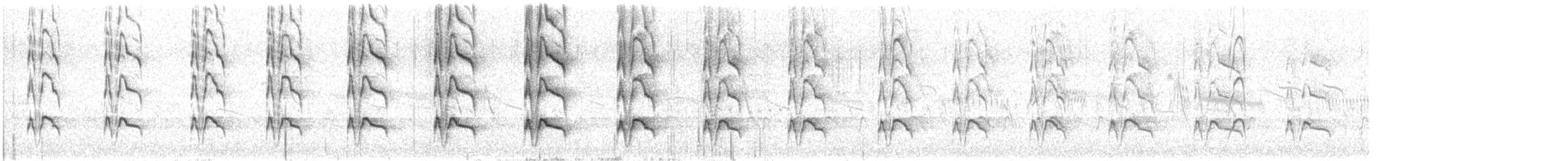 South Island Oystercatcher - ML630169645