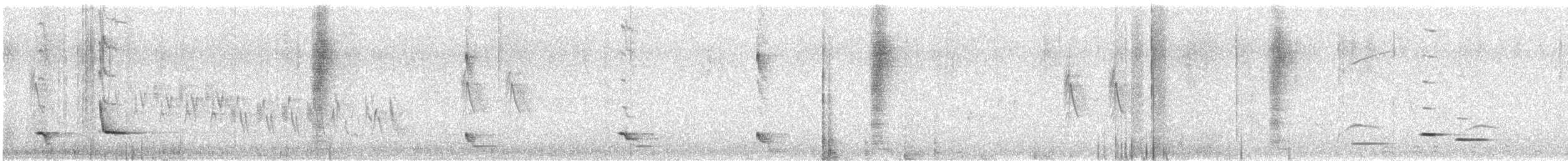 New Zealand Bellbird - ML630169822