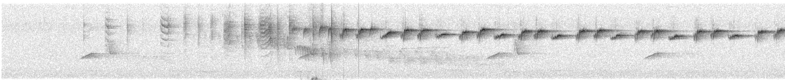 New Zealand Fantail - ML630173103