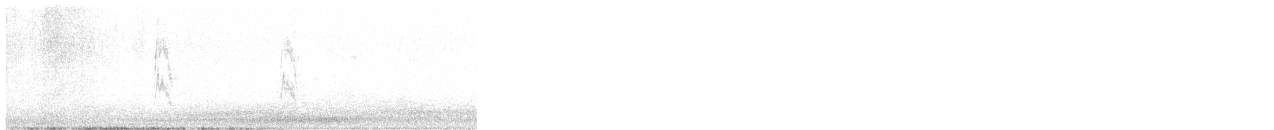 Pipit de Richard - ML630174976