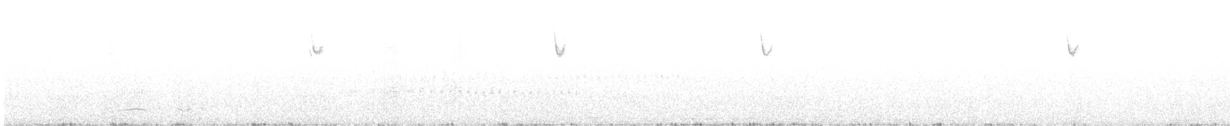 bergspurv - ML630175319