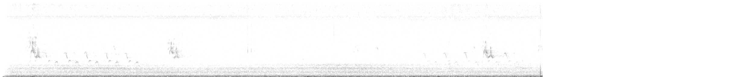 vrabec domácí - ML630175830