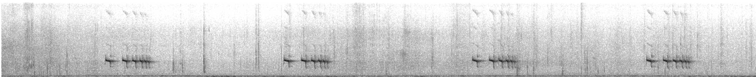 Equatorial Antpitta - ML630175953