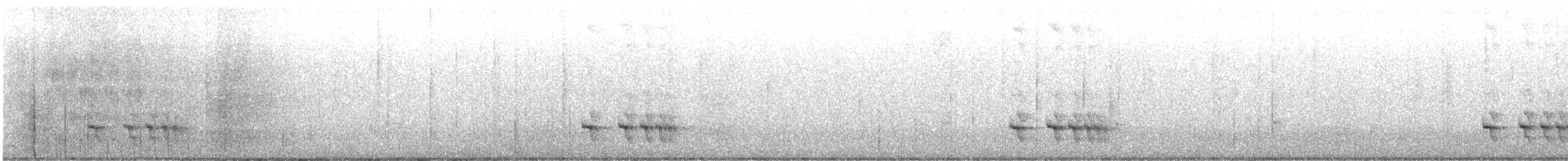 Equatorial Antpitta - ML630175954