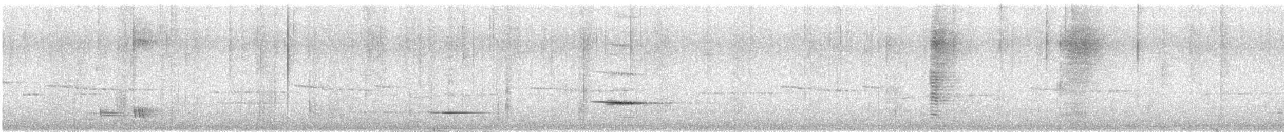 maorihonningeter - ML630176230