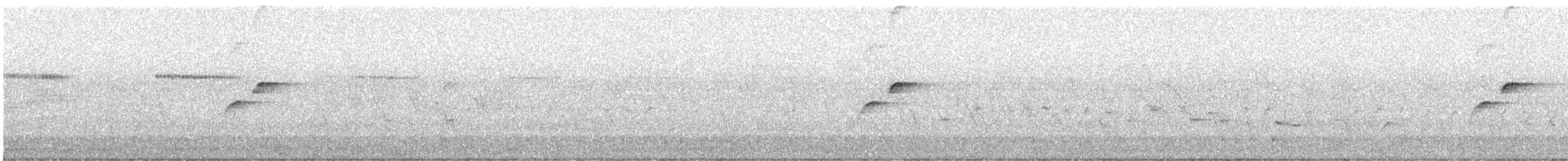 Western Flycatcher (Cordilleran) - ML630176388