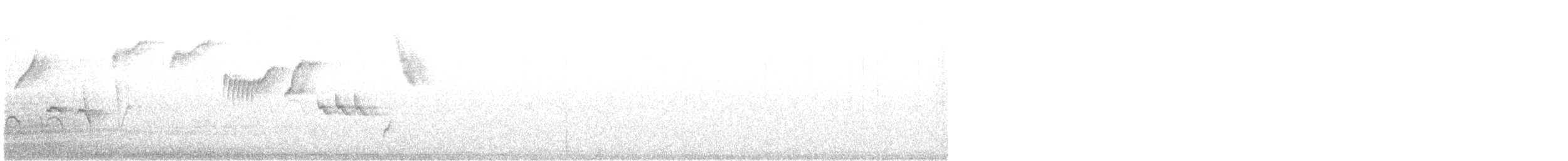 Tohi à nuque claire - ML630176489