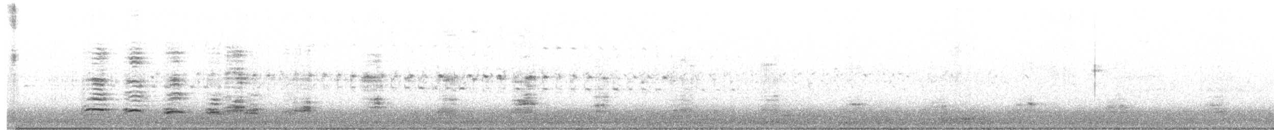 kachna divoká - ML630177284
