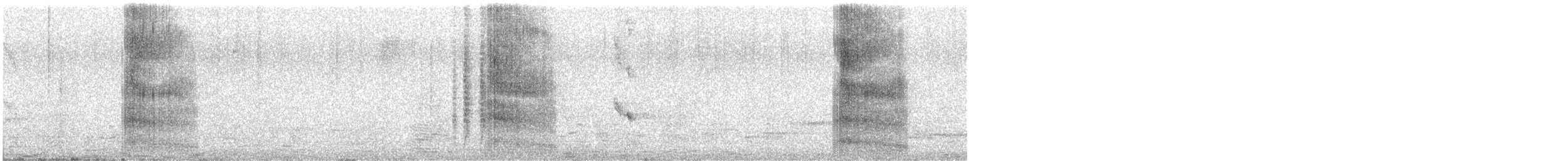 ギンカモメ（scopulinus） - ML630177598