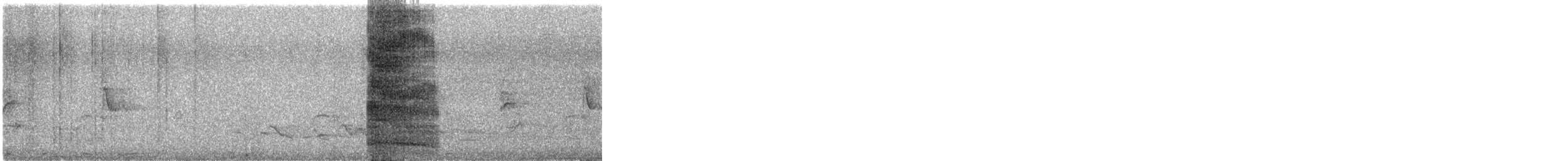 ギンカモメ（scopulinus） - ML630177603