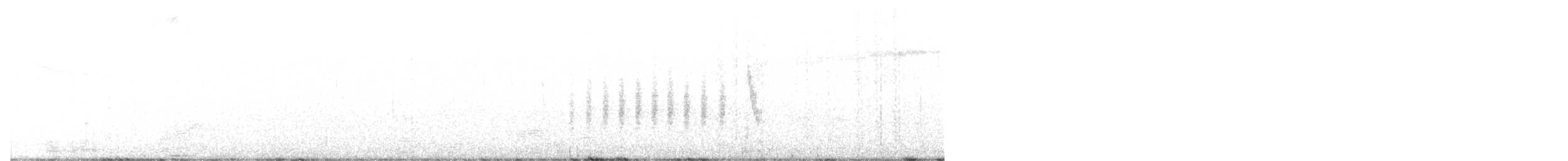 Black-tailed Gnatcatcher - ML630190539