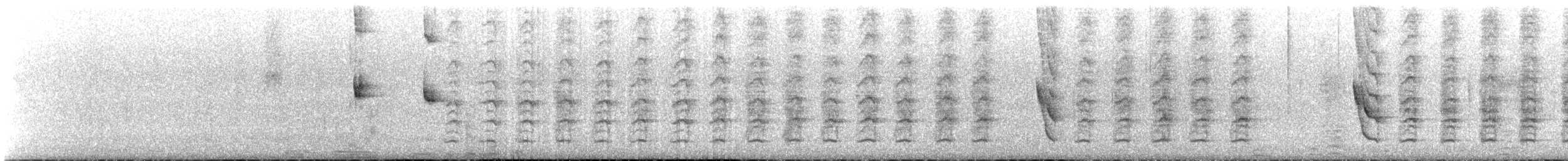 South Island Saddleback - ML630191312