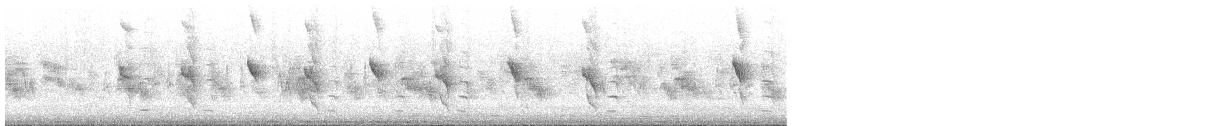 South Island Saddleback - ML630191501