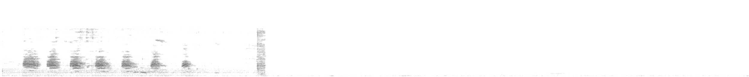 Canard colvert - ML630205747