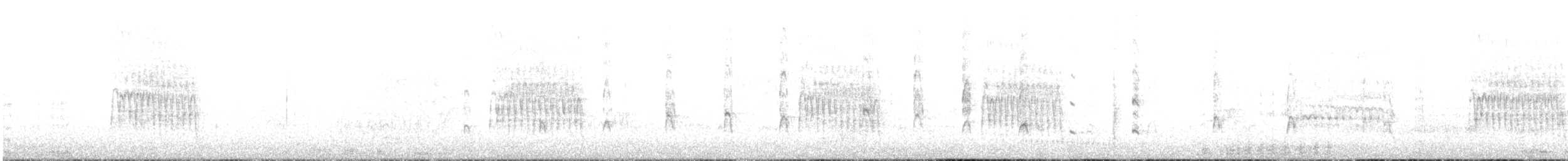 Ibis sacré - ML630212293