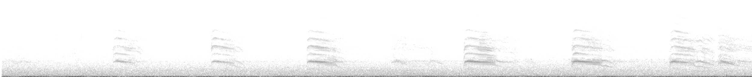 Hartlaub's Gull - ML630213566