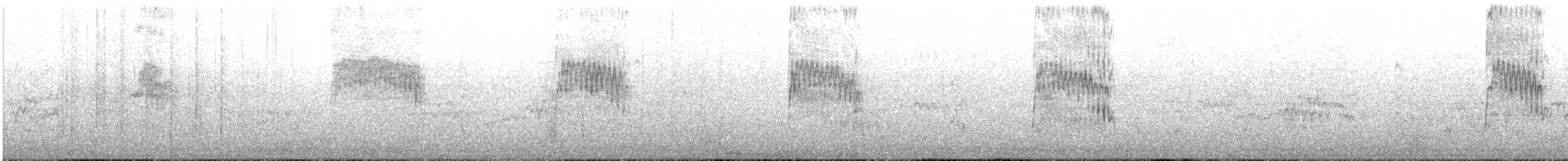 Ibis sacré - ML630214079