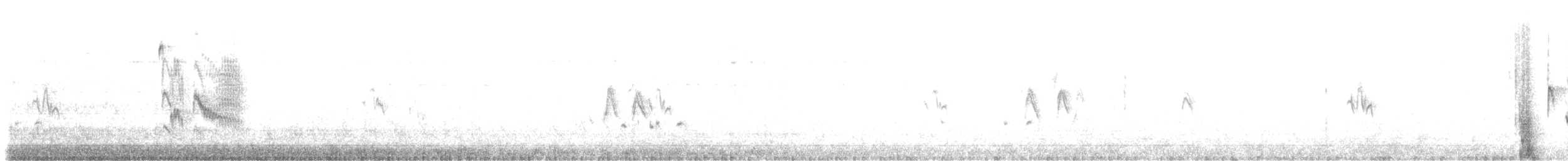 Variable Wheatear - ML630214728