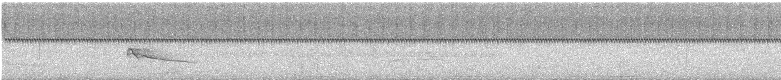 Plumbeous Kite - ML630221827