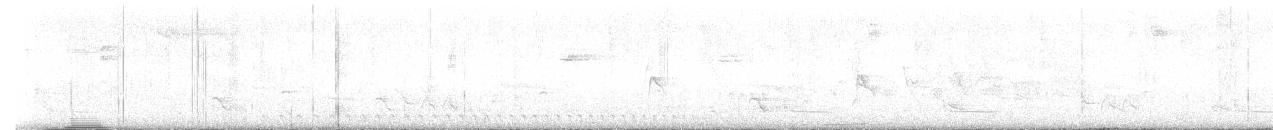 Black-and-white Tanager - ML630223987