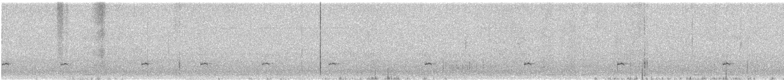 Çamurcun (carolinensis) - ML630229838