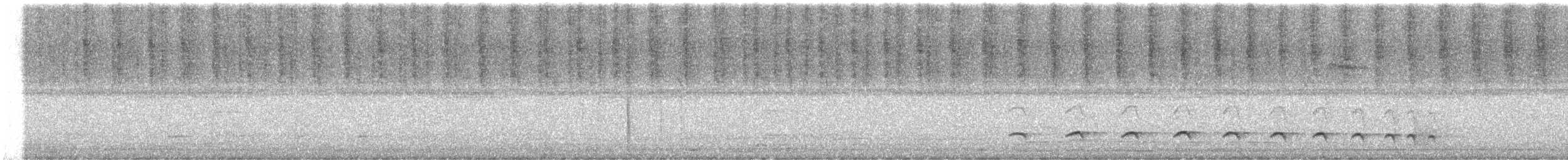 Plain Antvireo - ML630241571
