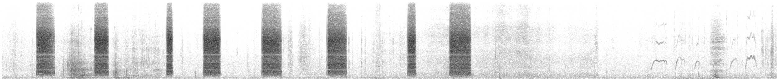 buřníček žlutonohý - ML630248719