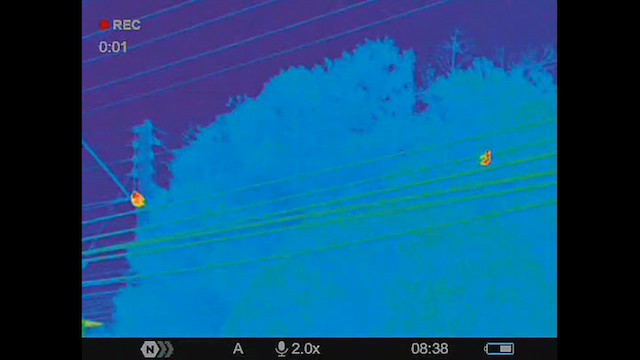 Sinsonte Tenca - ML630249047