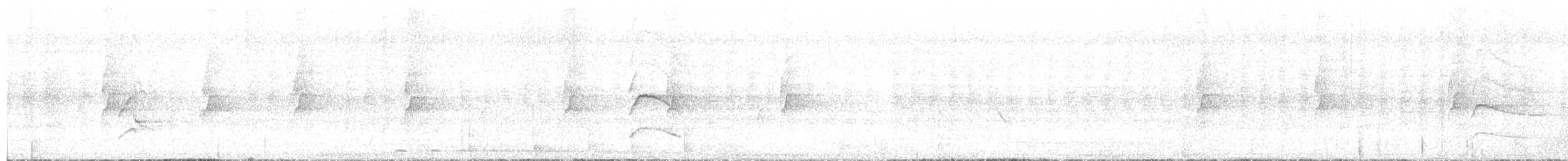 rapace sp. - ML630249157