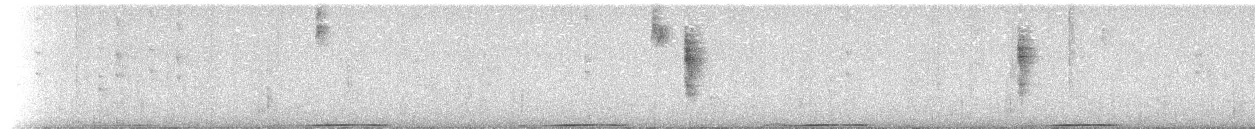 Band-tailed Pigeon - ML630257602