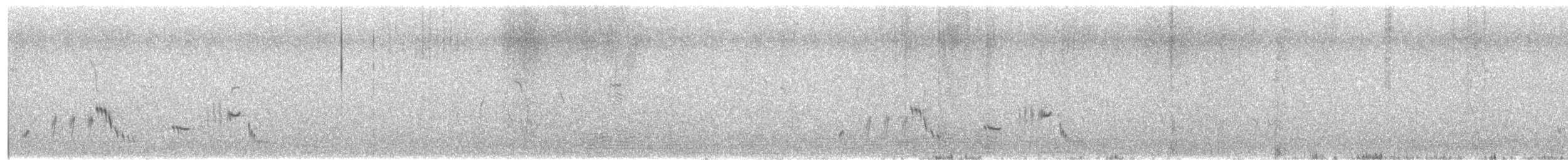 Western Whipbird - ML630257826