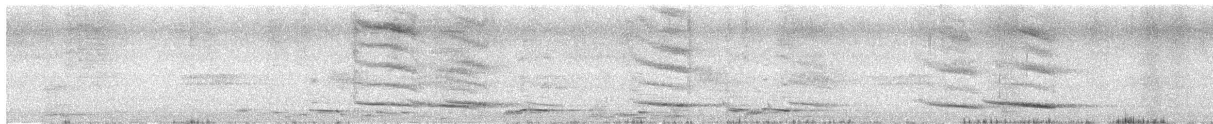 Australian Magpie (Western) - ML630257993