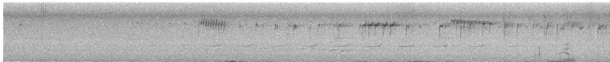 Splendid Fairywren - ML630258032