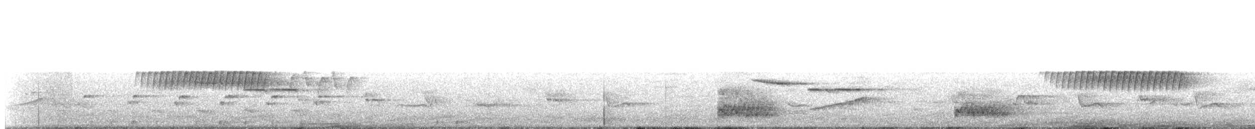 マツアメリカムシクイ - ML630263392