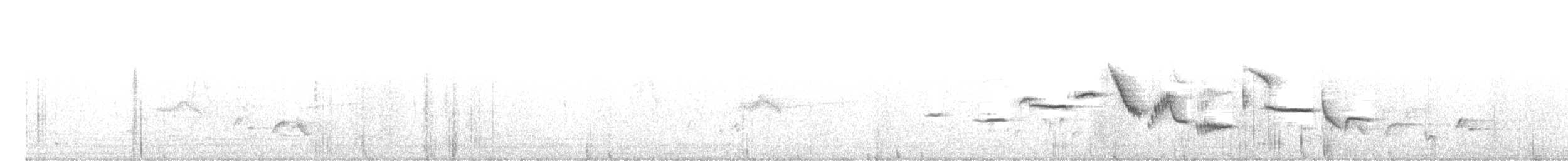 White-bellied Sholakili - ML630265846