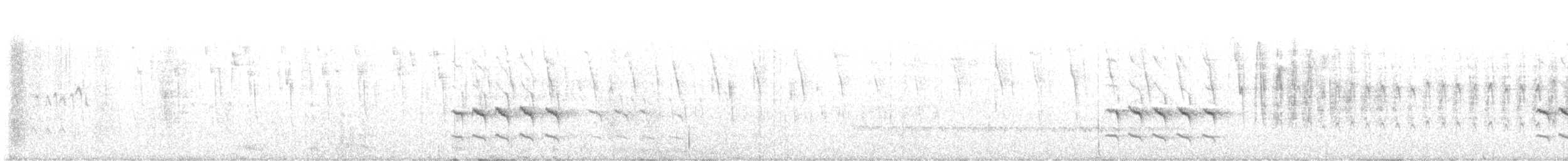 Paramo Tapaculo - ML630267409