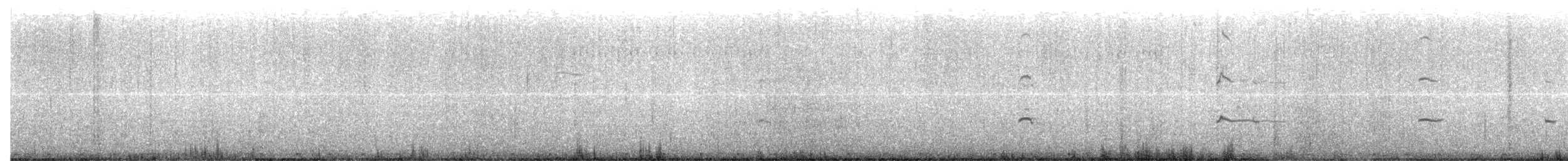 Laysan Albatross - ML630269675