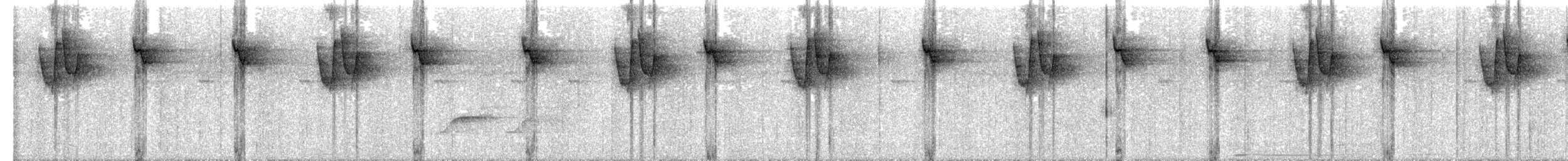 Great-billed Hermit (Margaretta's) - ML630277920