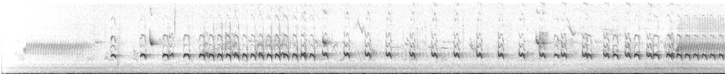 ミソサザイモドキ - ML630278713