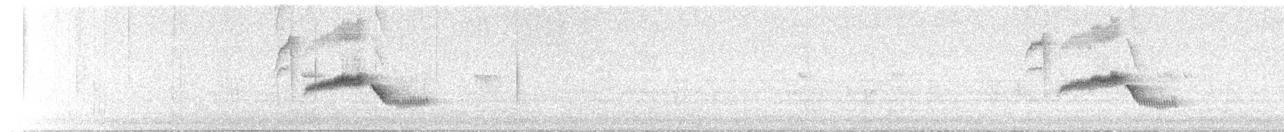 シロハラミソサザイ - ML630279460