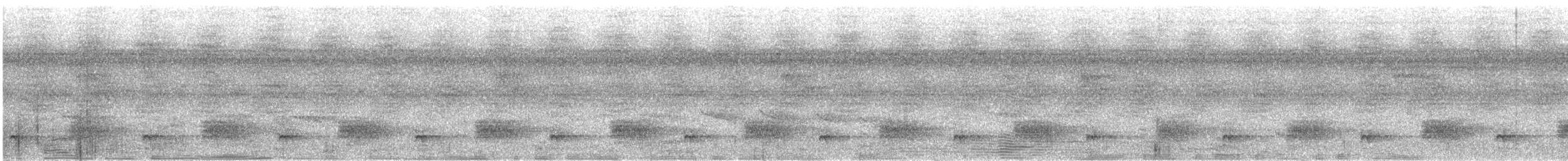 Gray Antbird - ML630286164