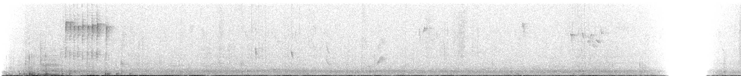Little Pied Flycatcher - ML630292452