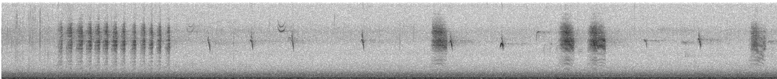Northern House Wren - ML630295349
