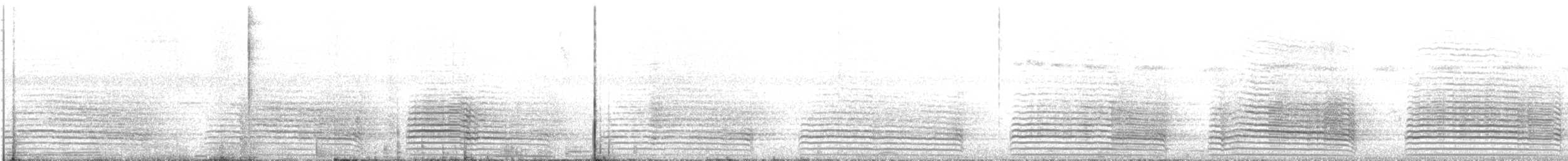 Calao trompette - ML630297721