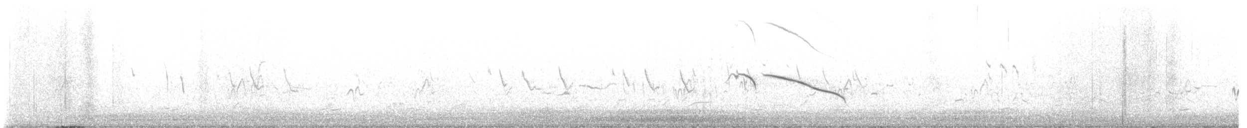 Cape Long-billed Lark (Cape) - ML630309453
