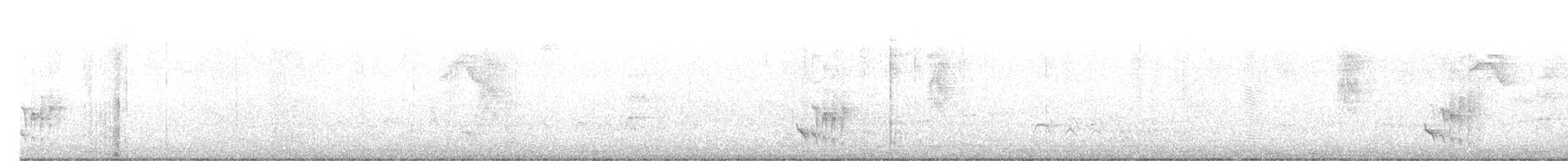 Large-billed Antwren - ML630319698