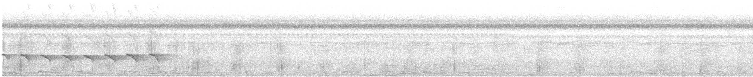 Stub-tailed Antbird - ML630320460