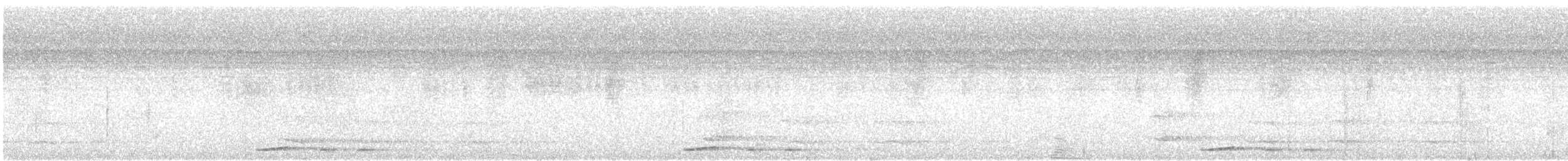 Dusky Pigeon - ML630320714