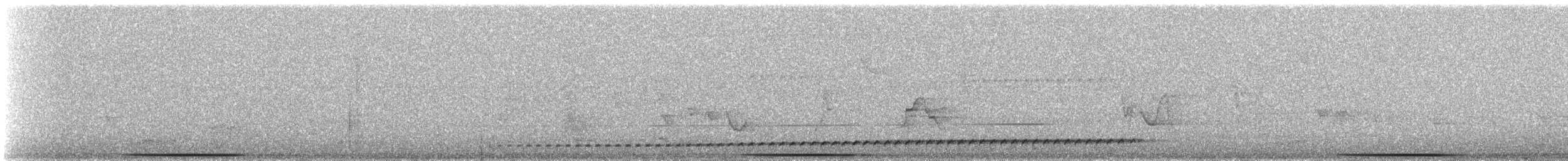 Rufous-tailed Antthrush - ML630323763