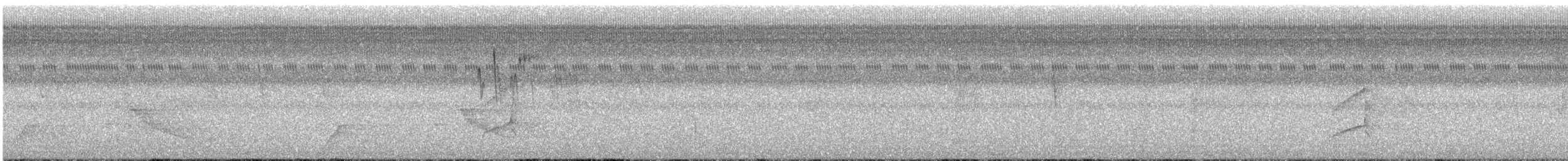 Vaux's Swift (Richmond's) - ML630324624